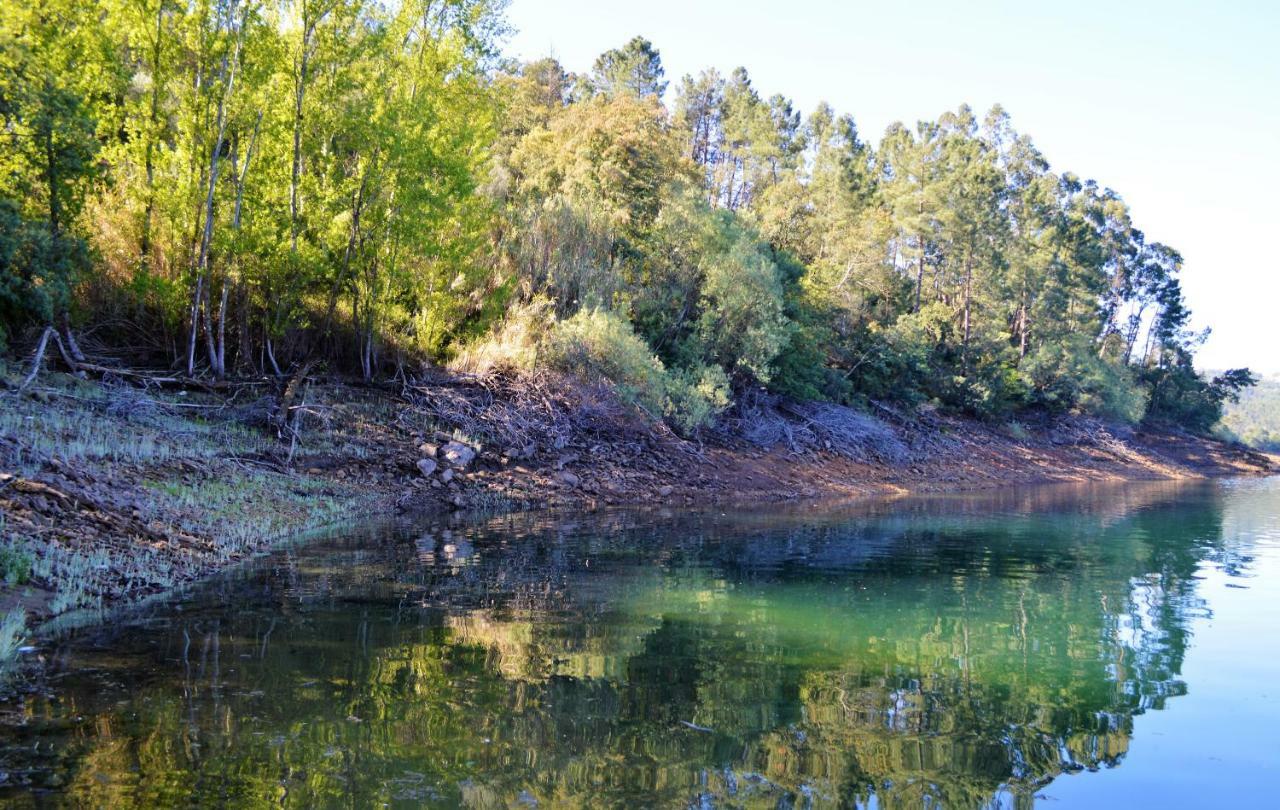 Quinta Do Chaparrinho Villa Sardoal Dış mekan fotoğraf
